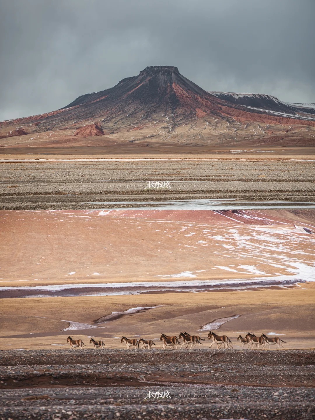 11月活动｜走，我们去无人区野餐去❗_15_食野山桌_来自小红书网页版